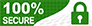 Secure Website Seal